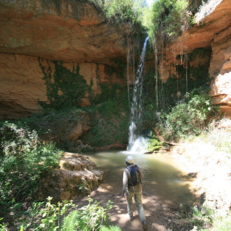 Salts d'aigua de Cabrera d'Anoia