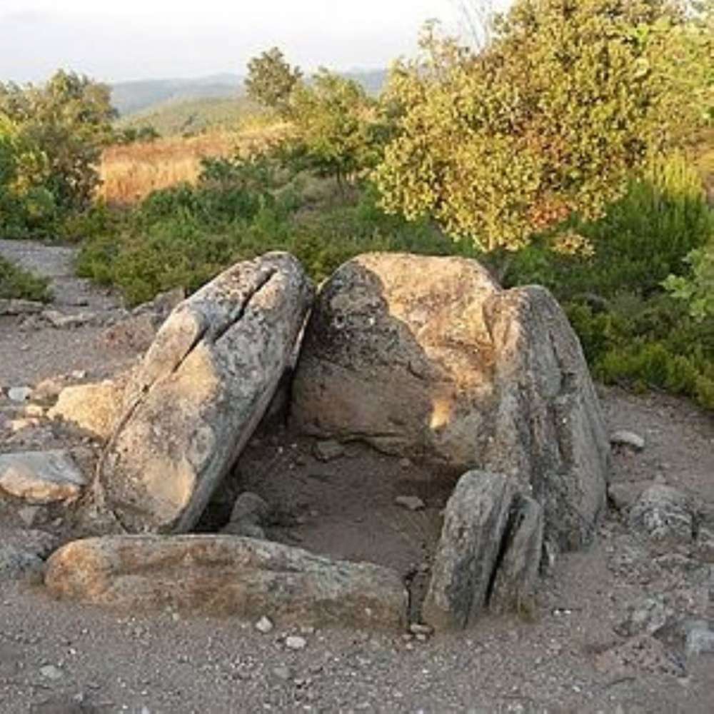 Descubre los orígines