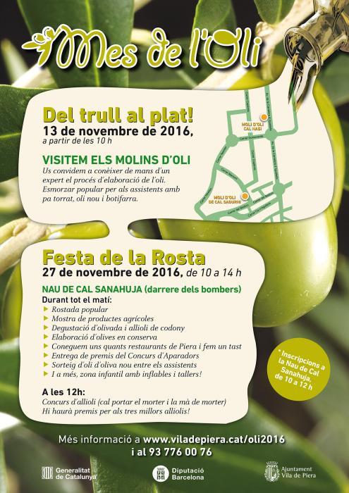 54148_cat_escala_495_700