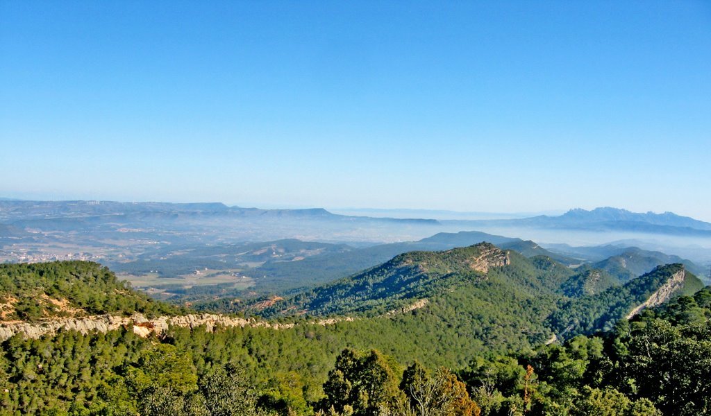 Agulla Grossa, l’espadat de l’Anoia