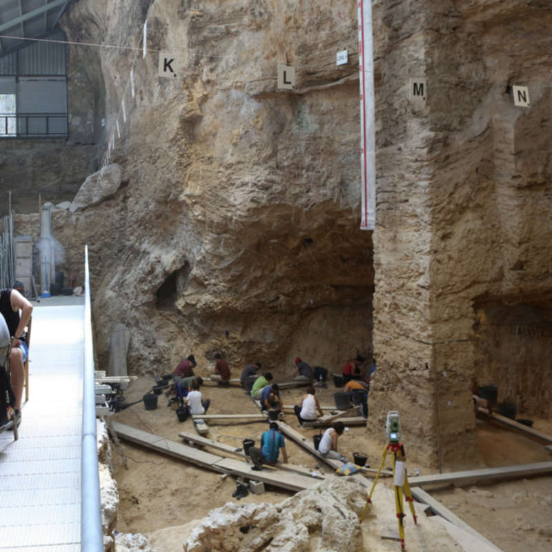 PARC PREHISTÒRIC DE CAPELLADES