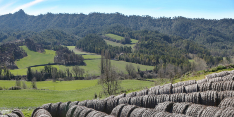 BELLPRATPORTA BELLPRATPORTA