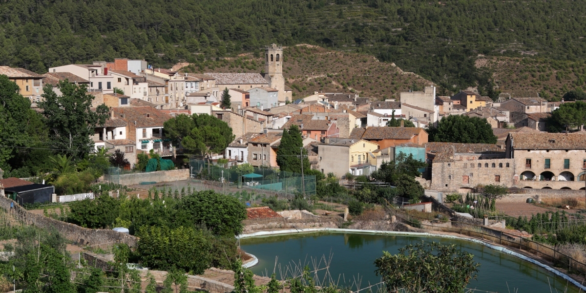 Copons, pas de traginers i comerciants