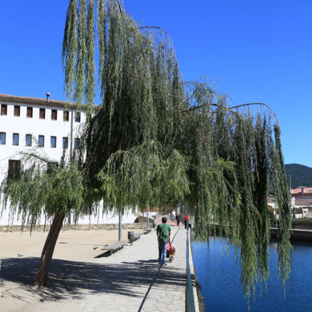 MUSEU MOLÍ PAPERER DE CAPELLADES