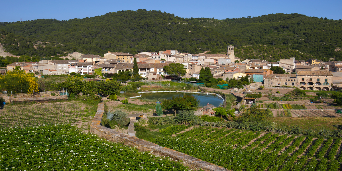 Copons, el poble de les amazones