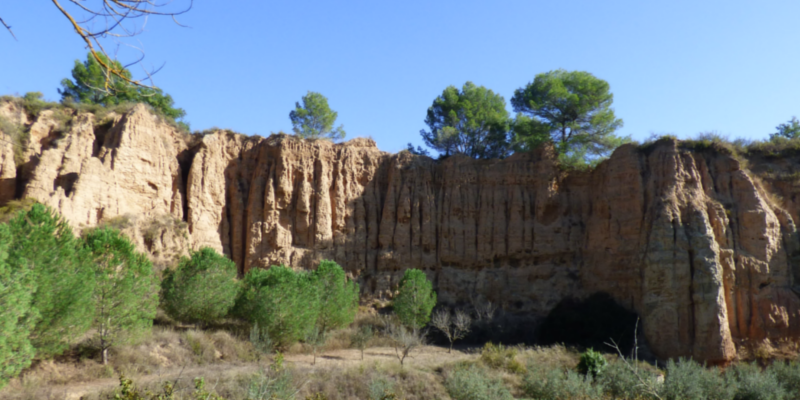 FLANDES1111 FLANDES1111