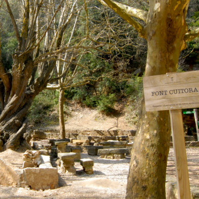Font cuitora