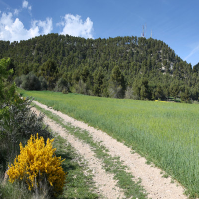 VOLTA A LA CONCA D'ÒDENA PR 119