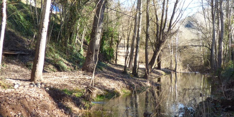 MAPARUTA31 MAPARUTA31