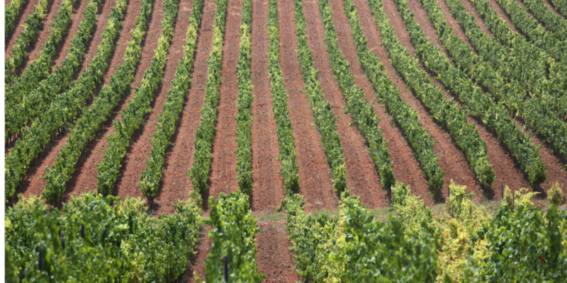 Miralles0001 Miralles0001