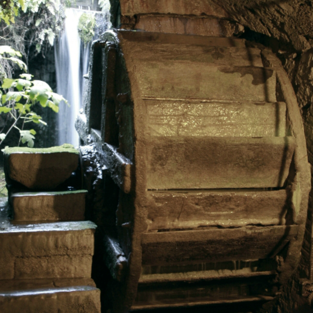 Museu i Col·leccions