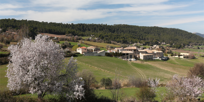 TORREBUSQUETA RUTES TORREBUSQUETA RUTES