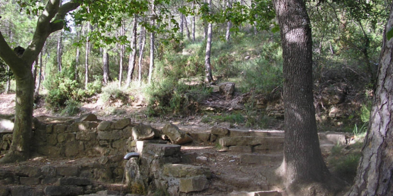 TORREBUSQUETA RUTES1 TORREBUSQUETA RUTES1