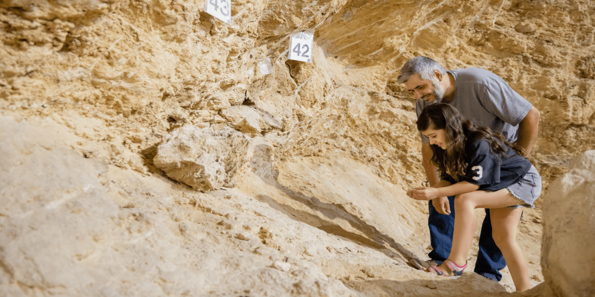 Descobreix els treballs d’excavació arqueològica de l’Abric Romaní