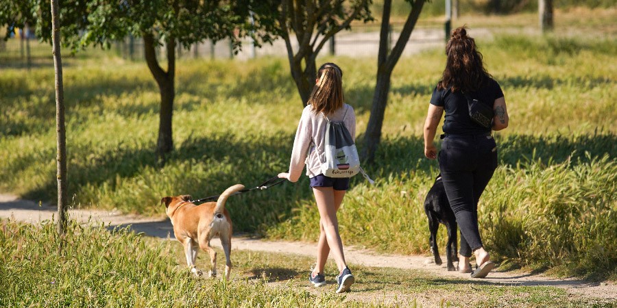 Descobreix la comarca a través de Wikiloc