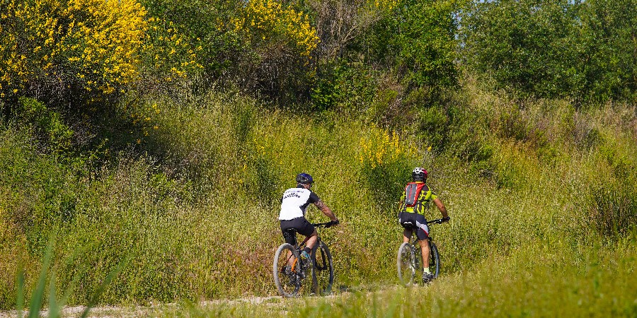 Descobreix i gaudeix tot pedalant amb La baCiCleta