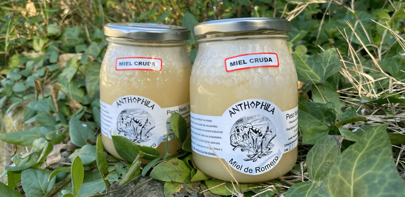 Anthophila, mel amb totes les seves propietats naturals