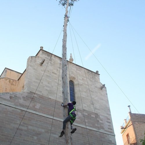 Festa de l'Arbre de maig