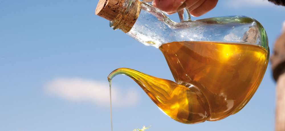 Molí d’oli Can Gibert, més de cent anys de tradició i qualitat