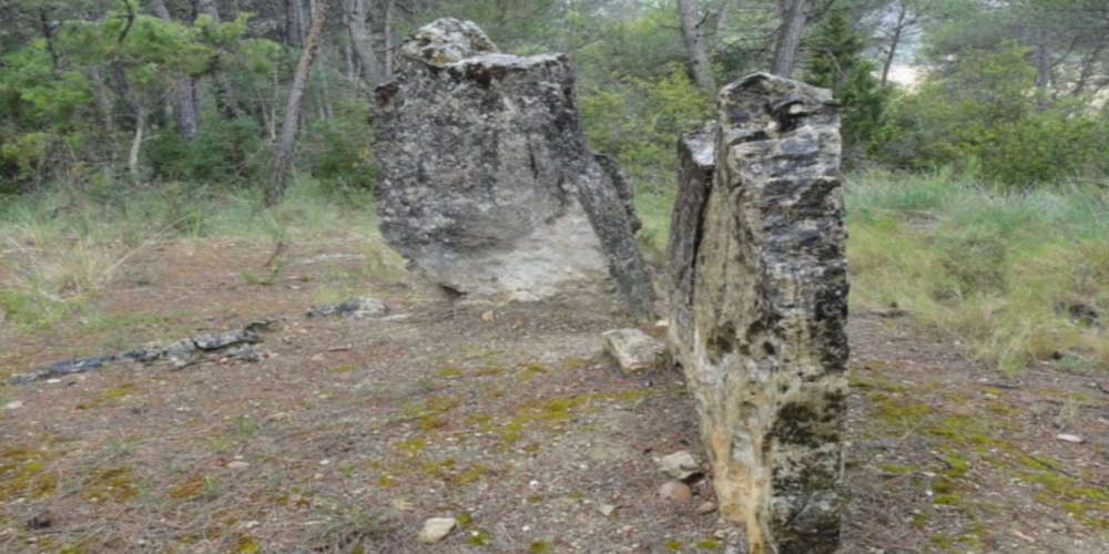 Sepulcre Megalític de Comallagosa.