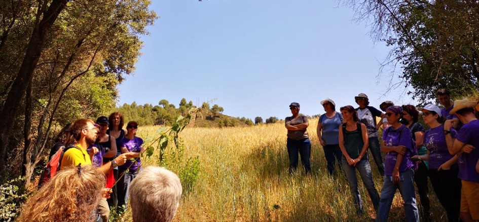 ¡Descubre las plantas silvestres comestibles!