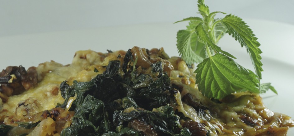 Descobreix, cuina i tasta les plantes silvestres comestibles!