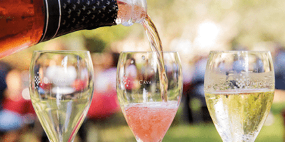 Experiències enoturístiques úniques a l’Anoia