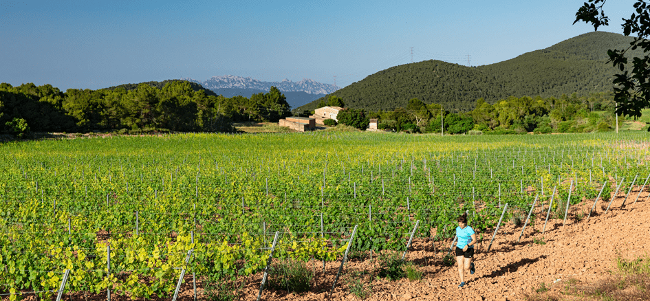Gaudeix de l’enoturisme de l’Anoia