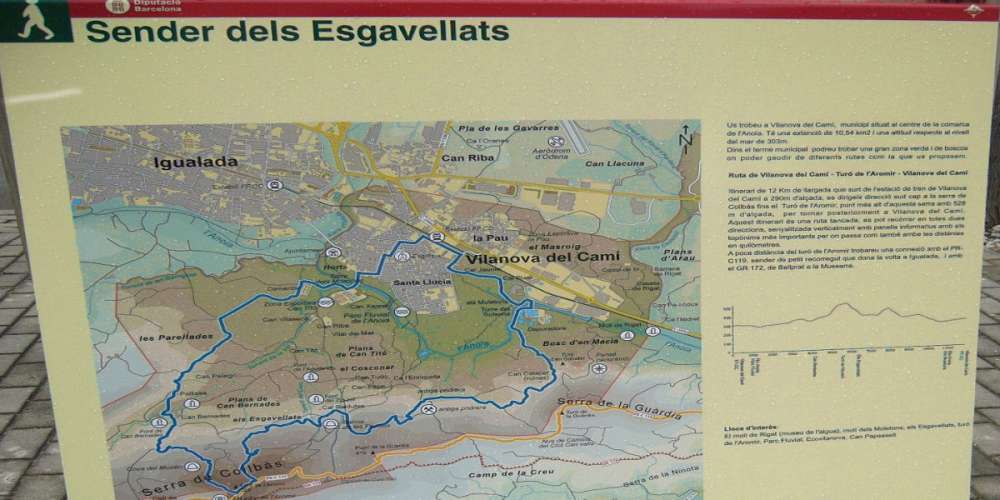 Els «Esgavellats»