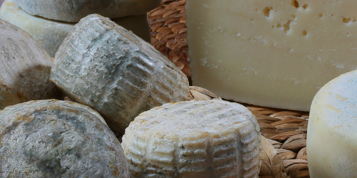 Pequeño comercio de la Anoia