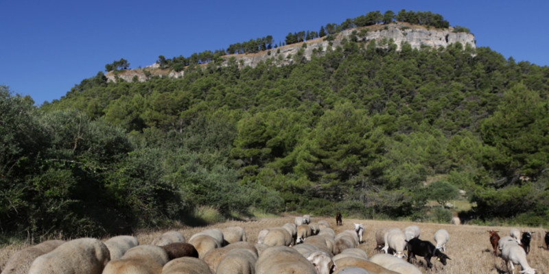 la Tossa011 la Tossa011