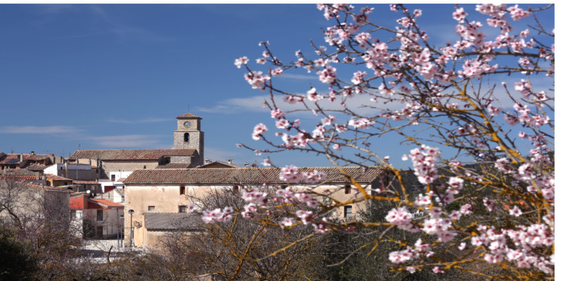 la llacuna0005 la llacuna0005