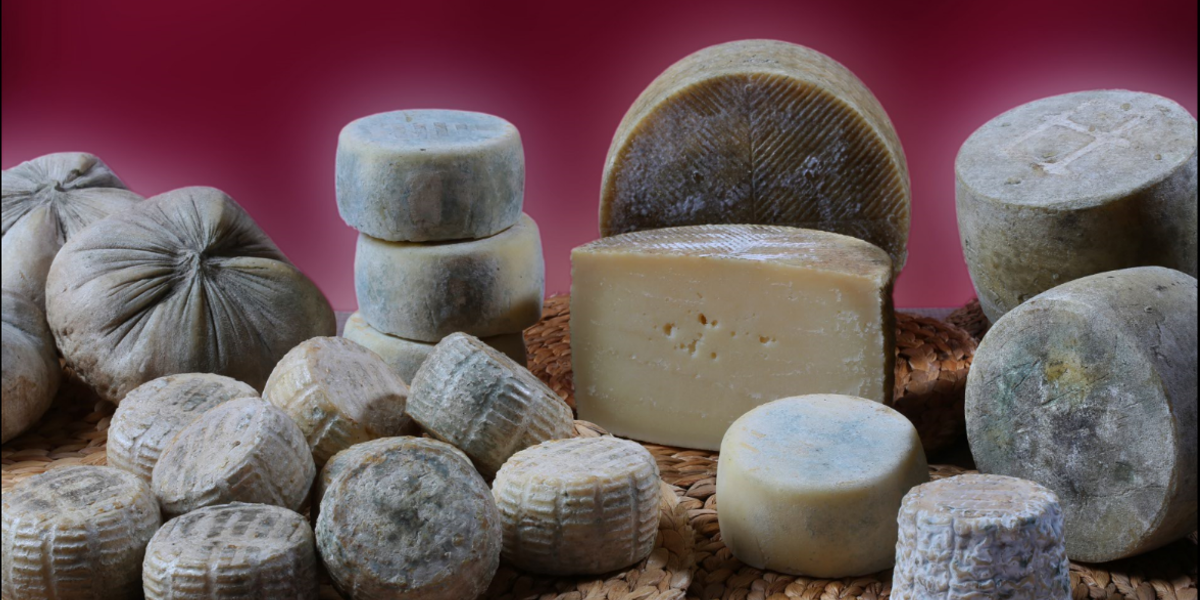 Làctics La Tossa, fets amb dedicació i cura