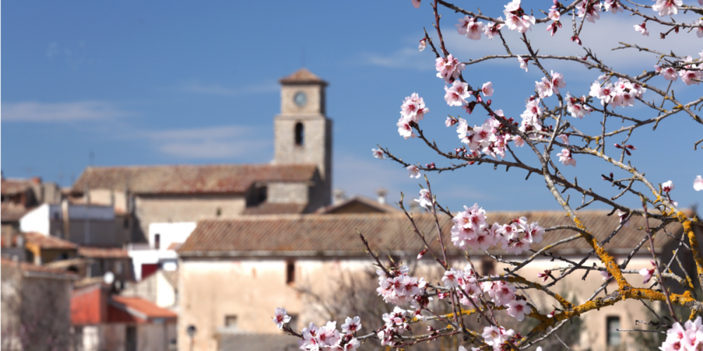 La Llacuna emmurallada