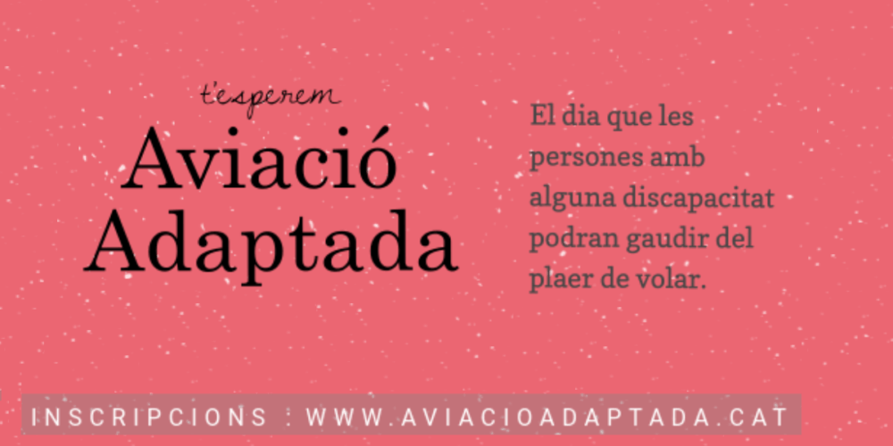 Jornada de aviación adaptada