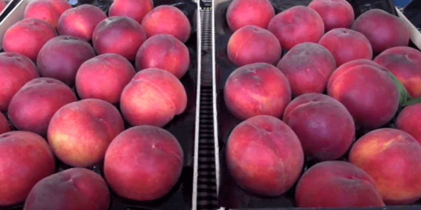 Mercat de la Fruita Dolça