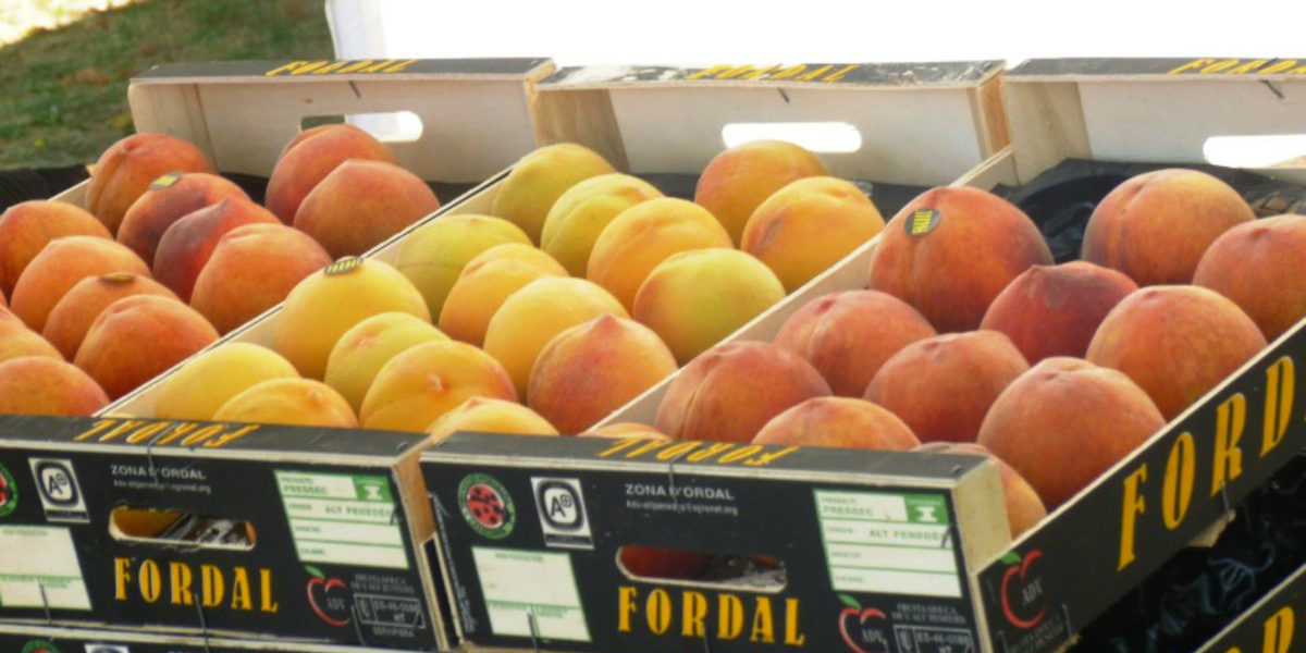 Mercado de la Fruta Dulce de Piera