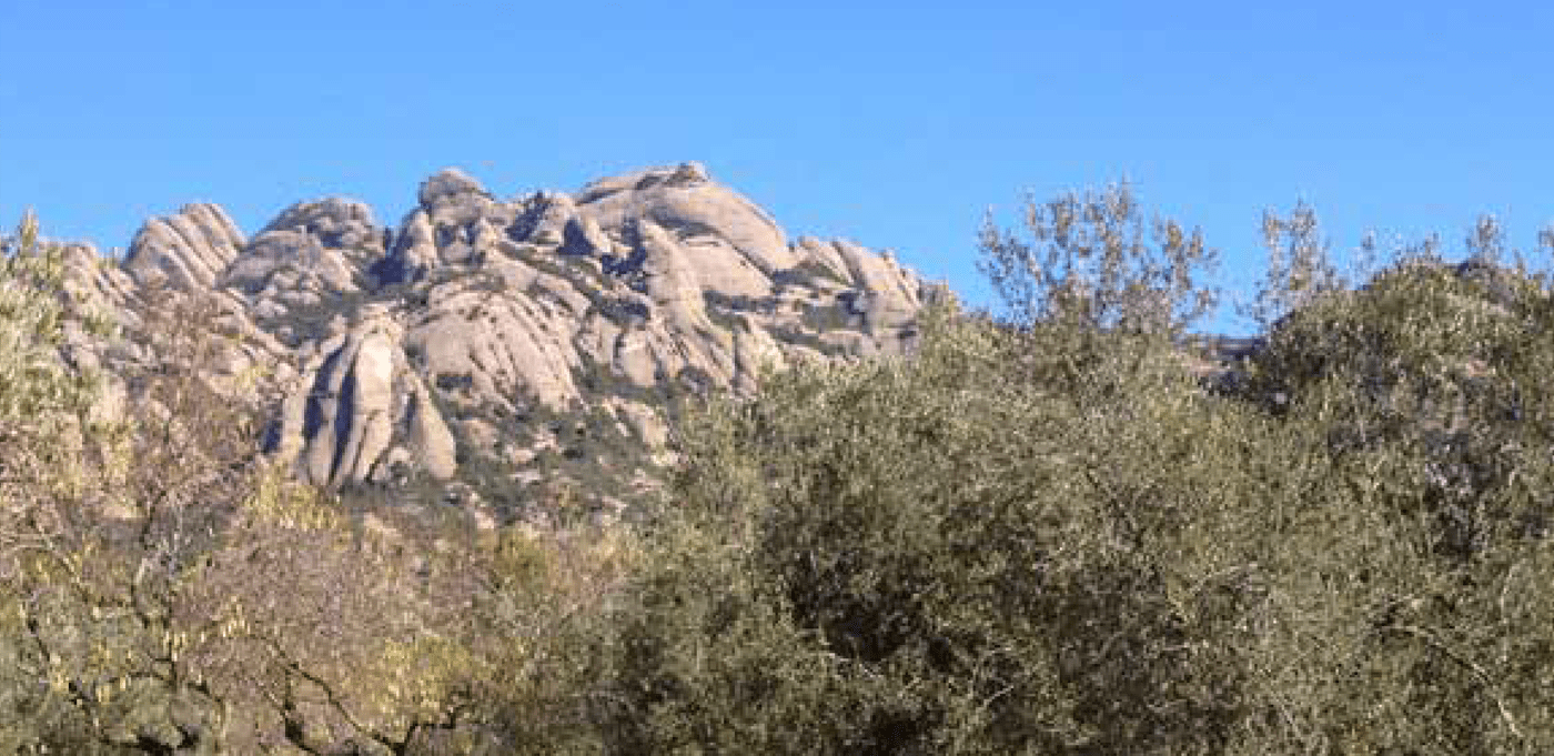 El camí de l’oli del Bruc