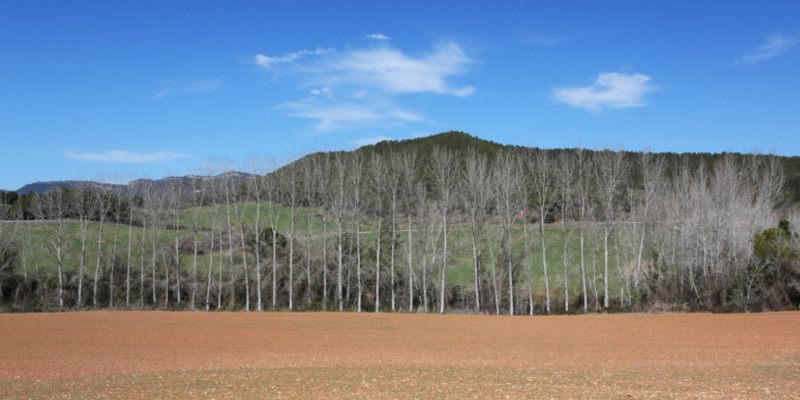 serra de fontfregona serra de fontfregona