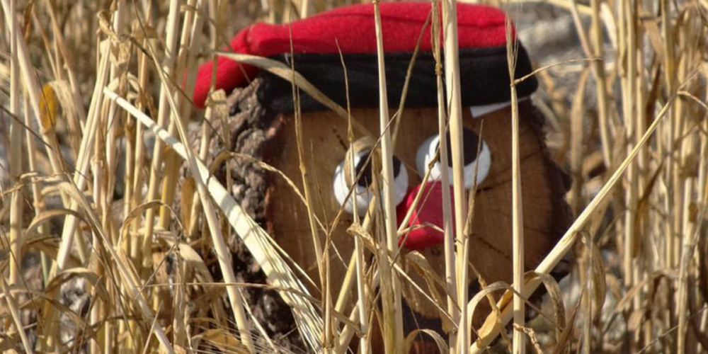 Fiesta del Tió de Argençola