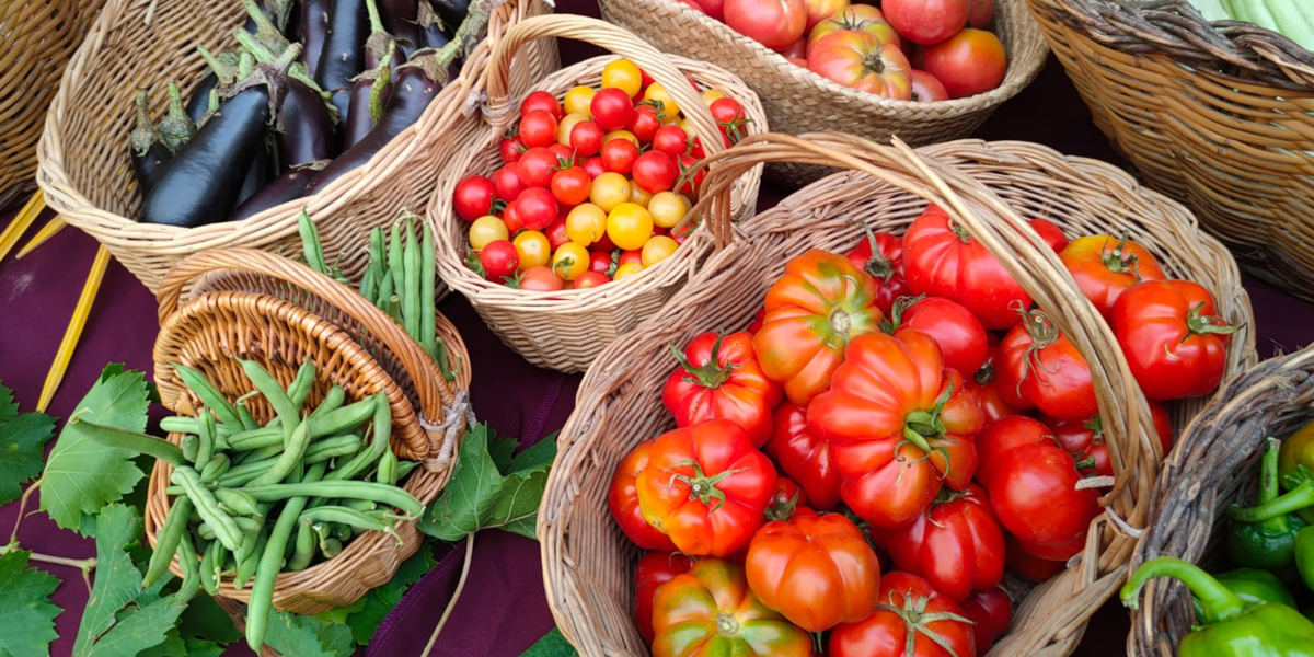 4a Mostra Hortícola i del Tomàquet de Copons