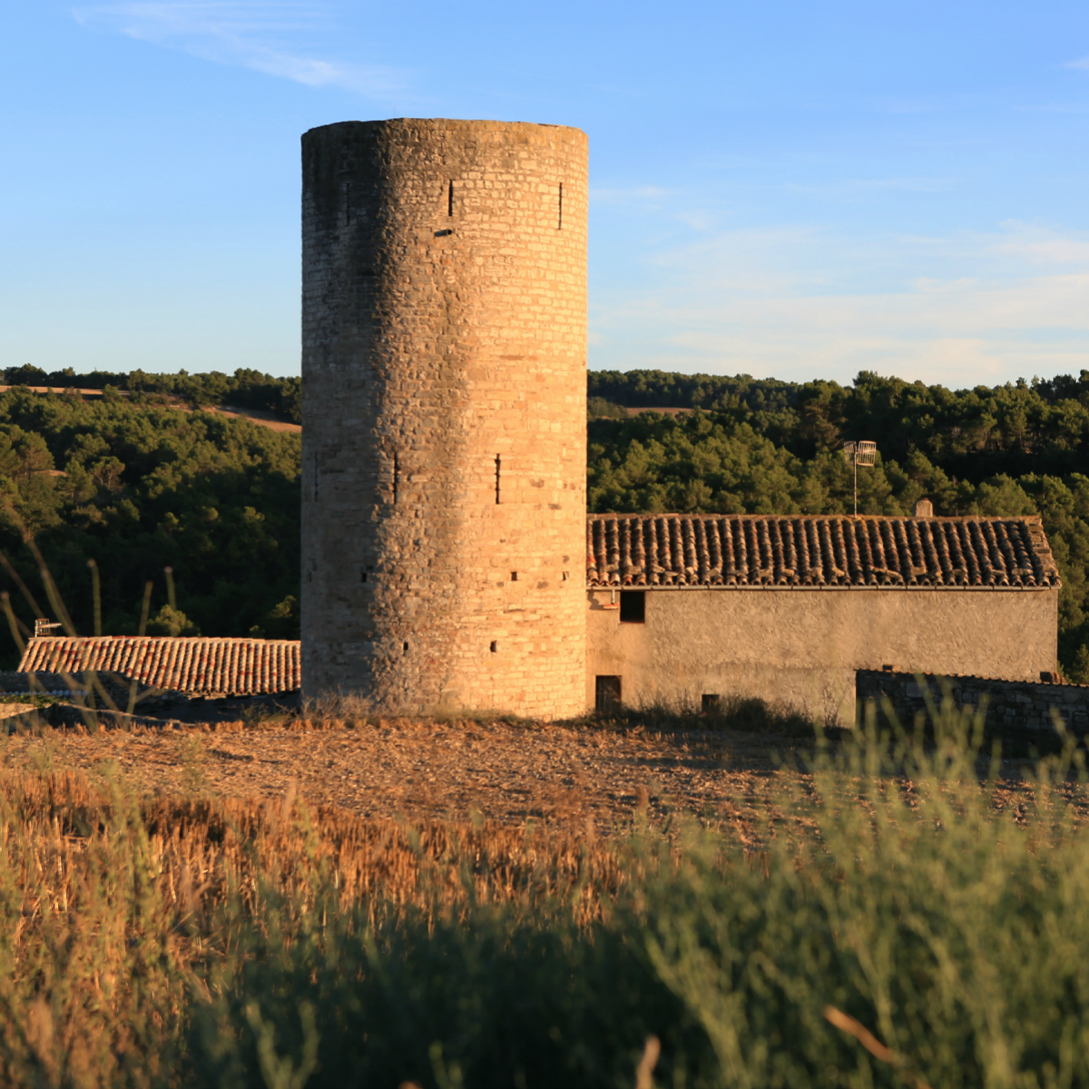CASTELLS AMB VISITA EXTERIOR LLIURE